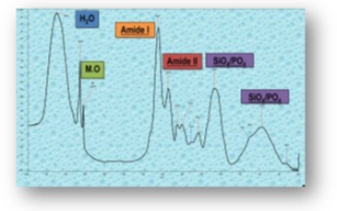 Image d'illustration de Analyses dépôts, corrosion, biofilms 1/3 - Ouvrir en plein écran