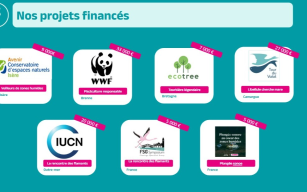 Image d'illustration de Accompagnement financement projets zones humides 2/3 - Ouvrir en plein écran