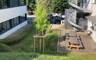 listing.media.image_placeholderOuvrir en plein écran