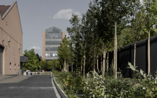 Image d'illustration de BOCAGE URBAIN 1/5 - Ouvrir en plein écran