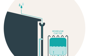 Image d'illustration de Clôture de jardin qui stocke et gère l'eau de pluie 1/2 - Ouvrir en plein écran