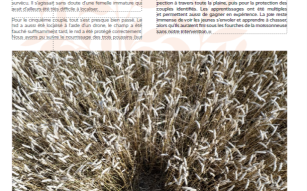 listing.media.image_placeholderOuvrir en plein écran