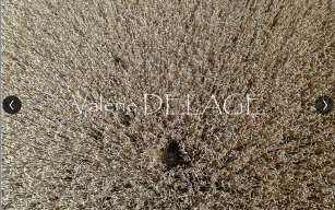 listing.media.image_placeholderOuvrir en plein écran