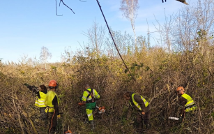 Image d'illustration de Travaux en zones humides 1/1 - Ouvrir en plein écran