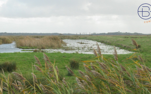 Image d'illustration de Biodiversité des sites 1/1 - Ouvrir en plein écran