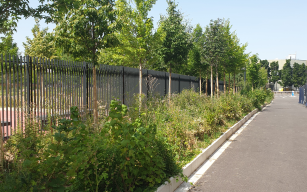 Image d'illustration de BOCAGE URBAIN 2/5 - Ouvrir en plein écran