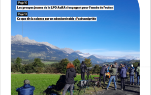 listing.media.image_placeholderOuvrir en plein écran