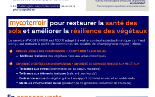 Image d'illustration de Amoterra 2/4 - Ouvrir en plein écran