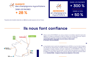 Image d'illustration de Amoterra 4/4 - Ouvrir en plein écran