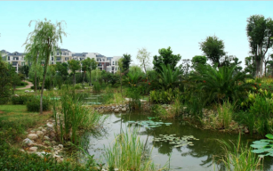 Image d'illustration de Phytorestore 2/4 - Ouvrir en plein écran