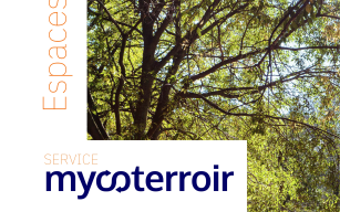 Image d'illustration de Amoterra 1/4 - Ouvrir en plein écran