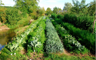 Image d'illustration de Phytorestore 4/4 - Ouvrir en plein écran