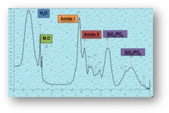 Image d'illustration de Analyses dépôts, corrosion, biofilms 1/3 - Ouvrir en plein écran