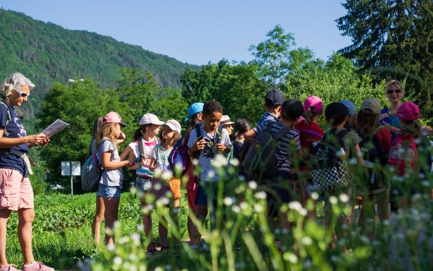 Image d'illustration de Expérience Nature 1/1 - Ouvrir en plein écran