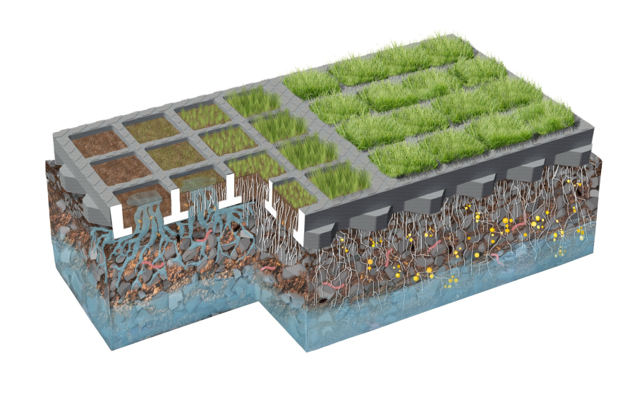Image d'illustration de Système de sol végétalisé O2D GREEN 3/5 - Ouvrir en plein écran
