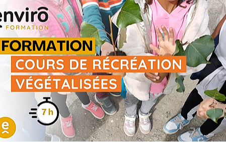 Image d'illustration de FORMATION - Concevoir des cours d’école, collège et lycée désimperméabilisées, végétalisées et partagées 1/1 - Ouvrir en plein écran