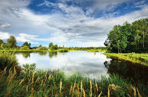 Image d'illustration de Outiller la préservation des milieux naturels 1/1 - Ouvrir en plein écran