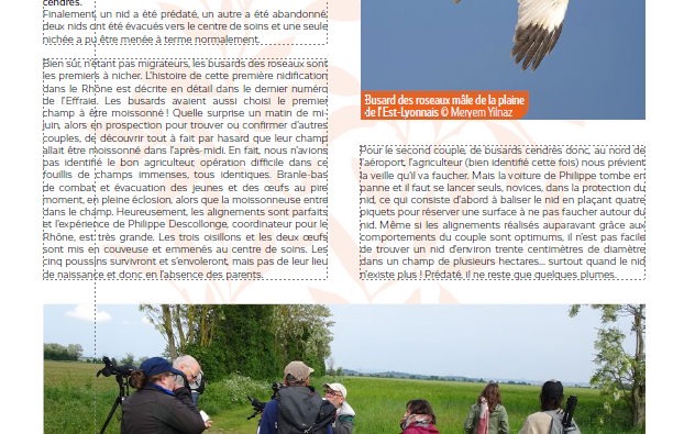 Image d'illustration de Suivi et protection des espèces menacées par drone : une solution innovante pour les acteurs de la biodiversité 5/6 - Ouvrir en plein écran