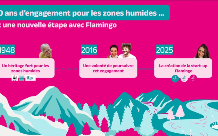 Image d'illustration de Accompagnement financement projets zones humides 1/3 - Ouvrir en plein écran