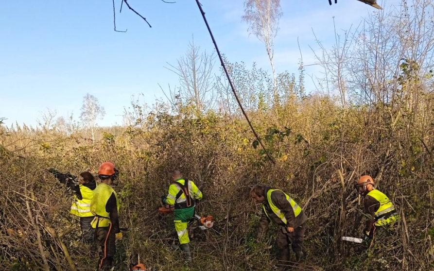 Image d'illustration de Travaux en zones humides 1/1 - Ouvrir en plein écran