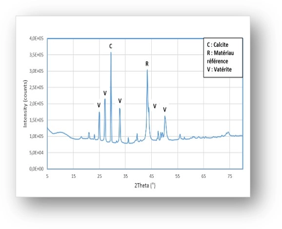 Image d'illustration de Analyses dépôts, corrosion, biofilms 3/3 - Ouvrir en plein écran