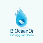 Bioceanor