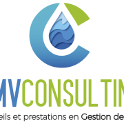 CMV Consulting