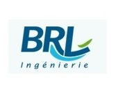 BRLI