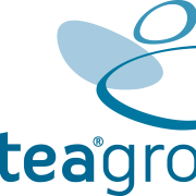 ANTEA GROUP