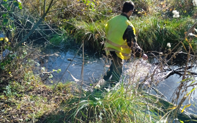 Entretien du Marais de Baudelut (77)