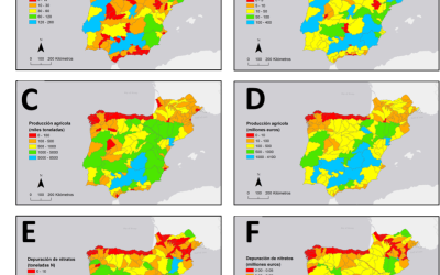 Evaluation économique du service naturel de régulation des nitrates