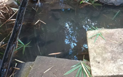 Fournir un accès l'eau potable