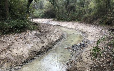 Travaux de renaturation et de confortement des berges du cours d'eau de l'Ousse des Bois