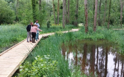 Aménagement écologique des zones humides du Parc Bouniol