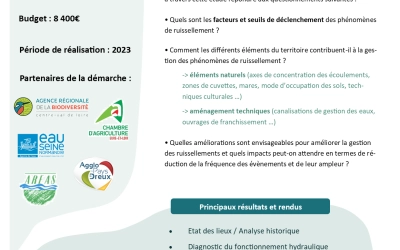 Diagnostic et plan d'actions pour la gestion des ruissellements