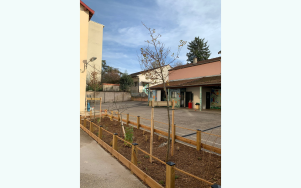 Point d’aquapuncture à l'Ecole Vincent Serre de Tassin La ½ Lune