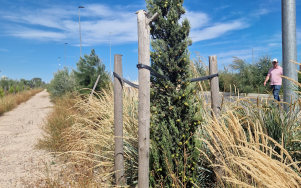 Port de Sète : Problématique de salinité des sols