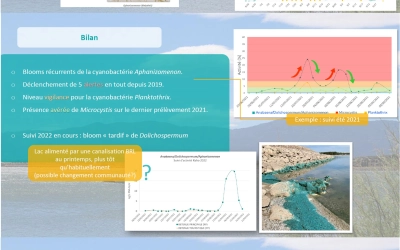 Surveillance des cyanobactéries du Lac de la Raho