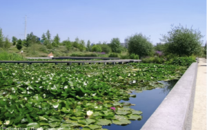 Parc chemin de l'île