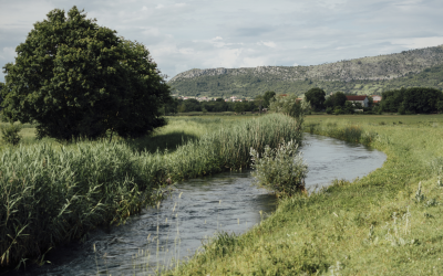 Etude relative à la mise en oeuvre de travaux de consolidation des berges d’un cours d’eau