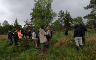 Animation : « Sources en Action » journée zones humides