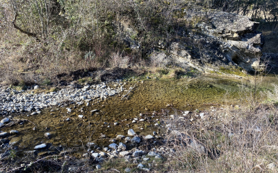 Suivi environnemental du chantier de déviation de la RN102 au Teil