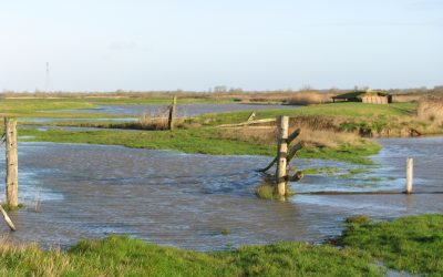 Etude d'impact gestion des plans d'eau de chasse