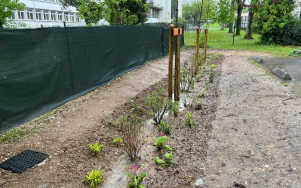 Point d’aquapuncture à Angoulême