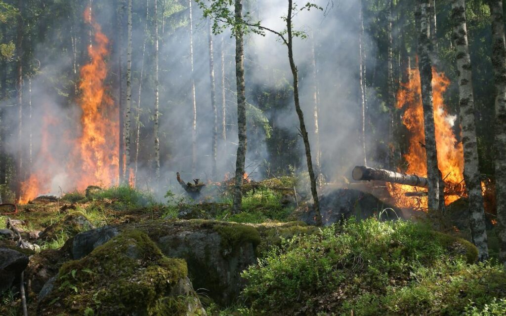 Défense extérieure contre l’incendie
