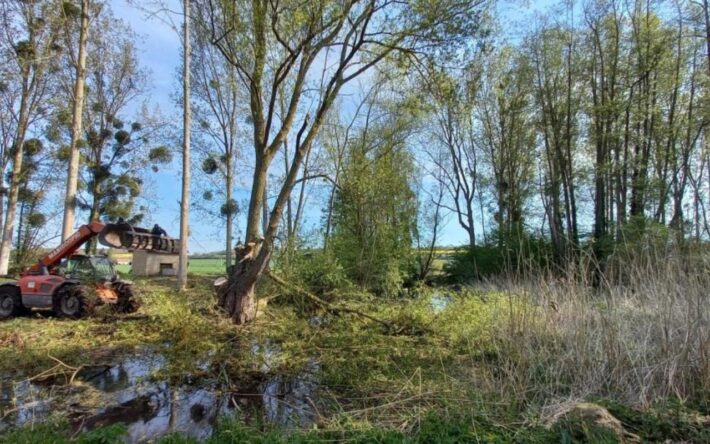 Travaux rivière Villemeux - Crédits photo : Syndicat du Bassin Versant des 4 Rivières