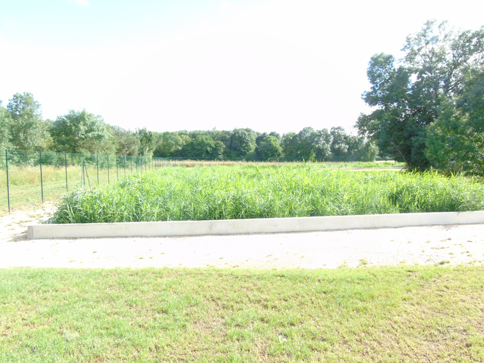 Les bassins de la station sont plantés de roseaux - Crédits photo : St Christophe en Bazelle