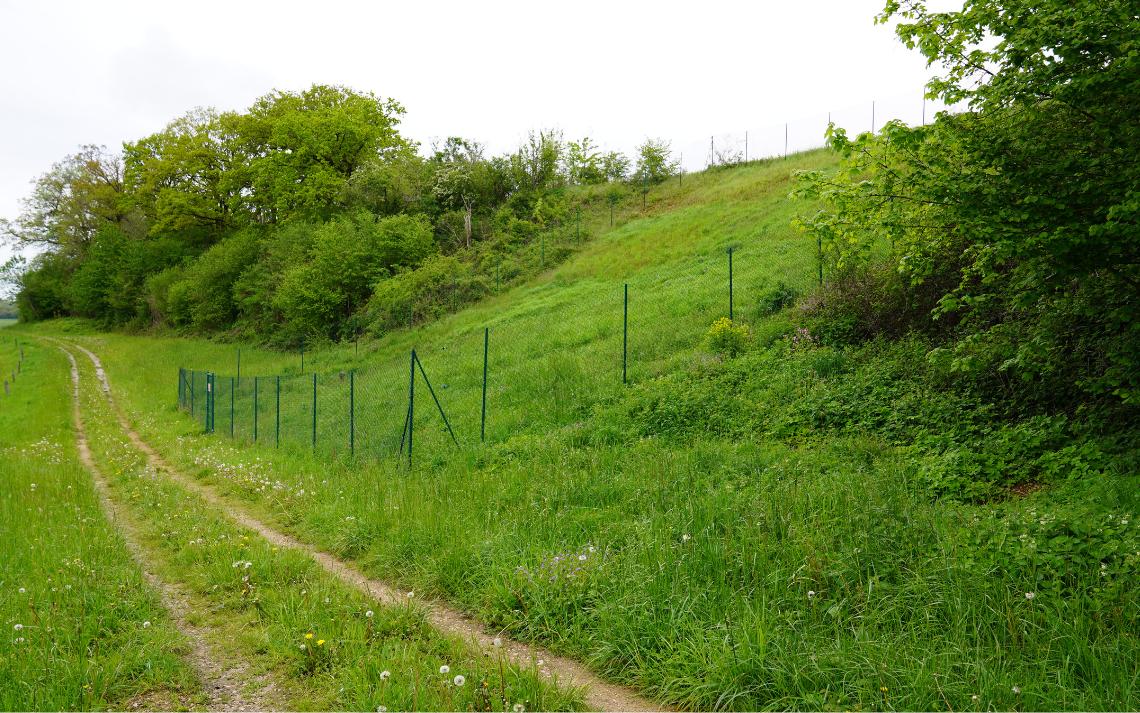 Captage de la source du Moiré - Les teneurs en nitrates ont fortement baissé depuis la remise en herbe en 2009 de 17 hectares - Crédits photo : Banque des Territoires