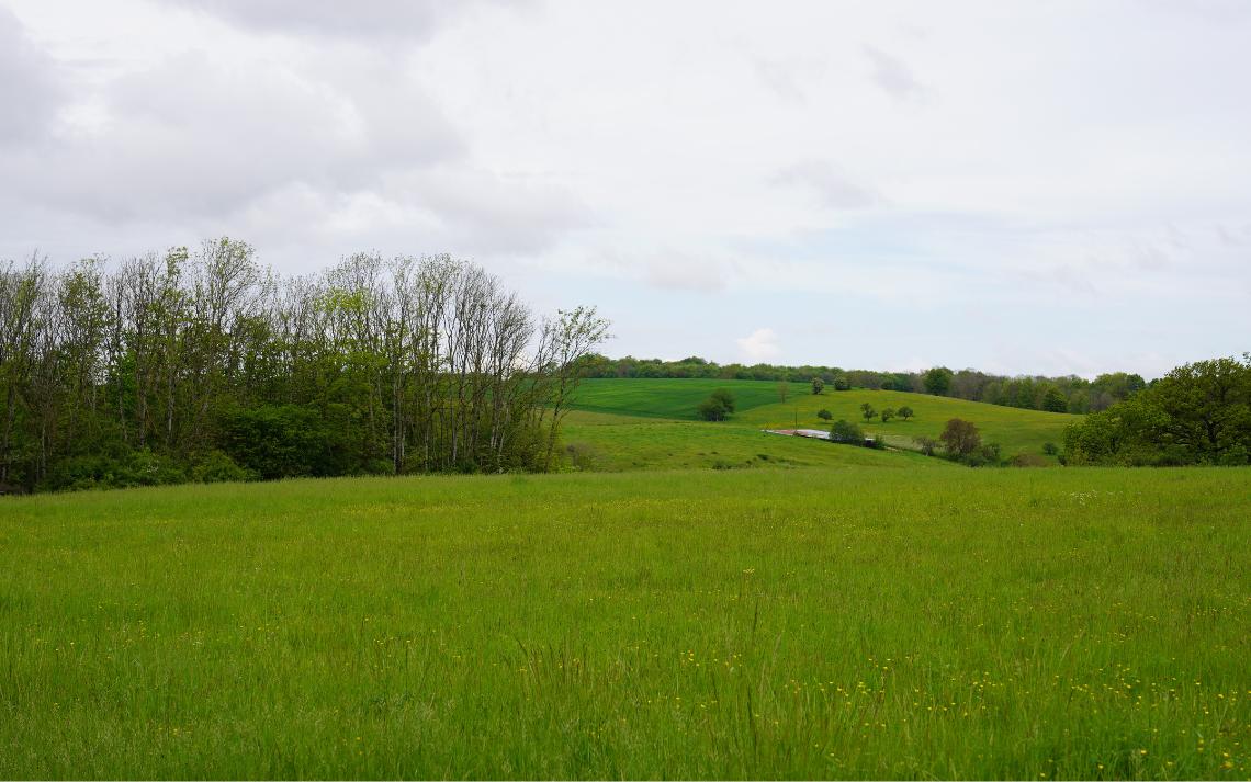 Captage de la source du Moiré - La source du moiré qui alimente en eau le village de Tramont-Lassus - Crédits photo : Banque des Territoires