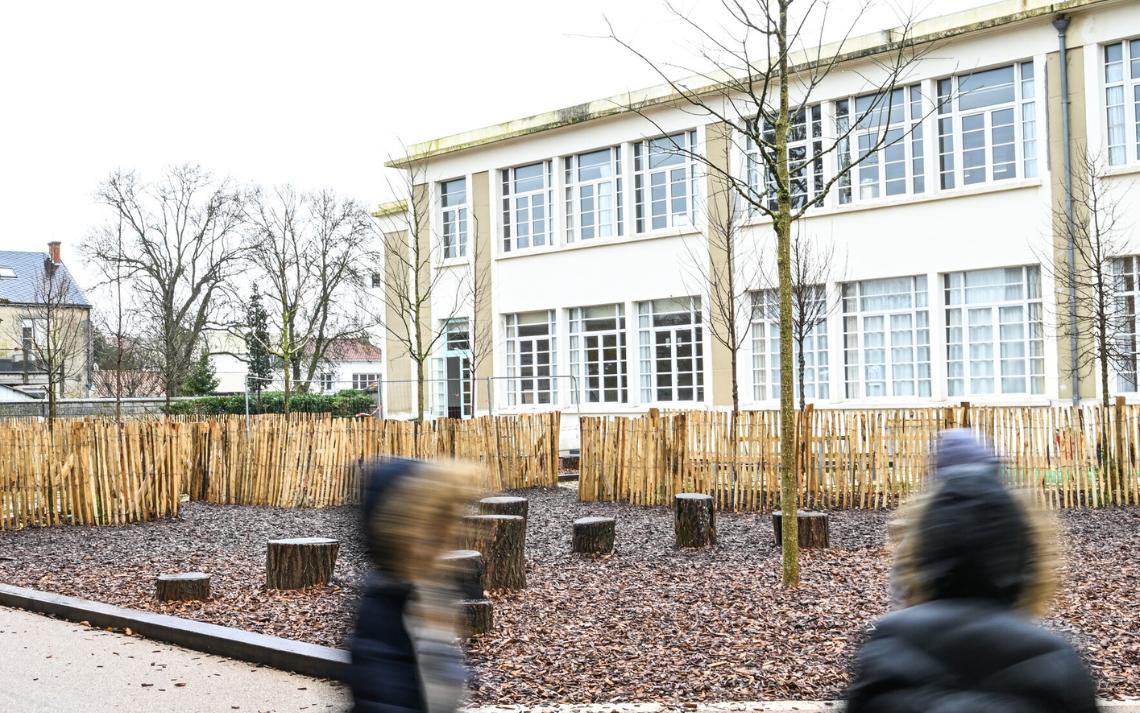 Désimperméabilisation de la cours d'école Pierre Loti à La Rochelle